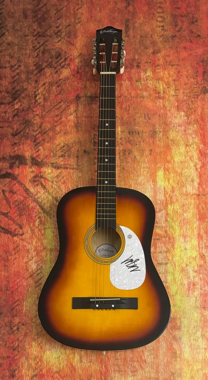 GFA Everywhere but On Country Star * MATT STELL * Signed Acoustic Guitar COA, изображение 3