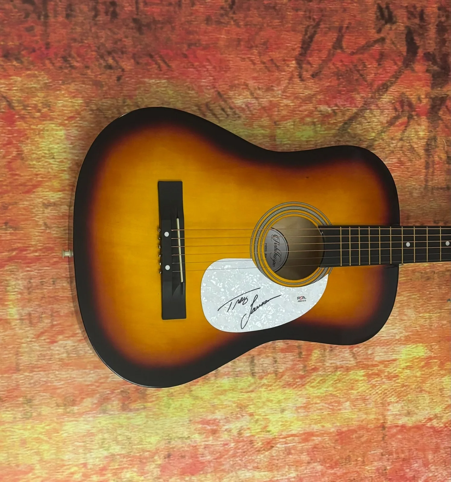 PSA Paint Me a Birmingham * TRACY LAWRENCE * Signed Acoustic Guitar PROOF COA, изображение 2