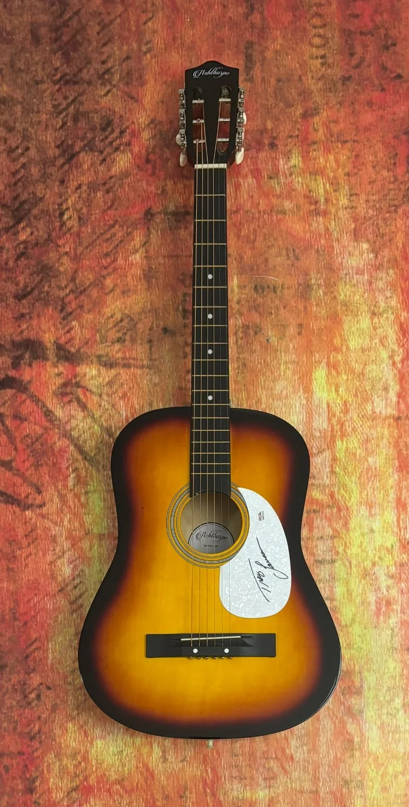 PSA Paint Me a Birmingham * TRACY LAWRENCE * Signed Acoustic Guitar PROOF COA, изображение 4