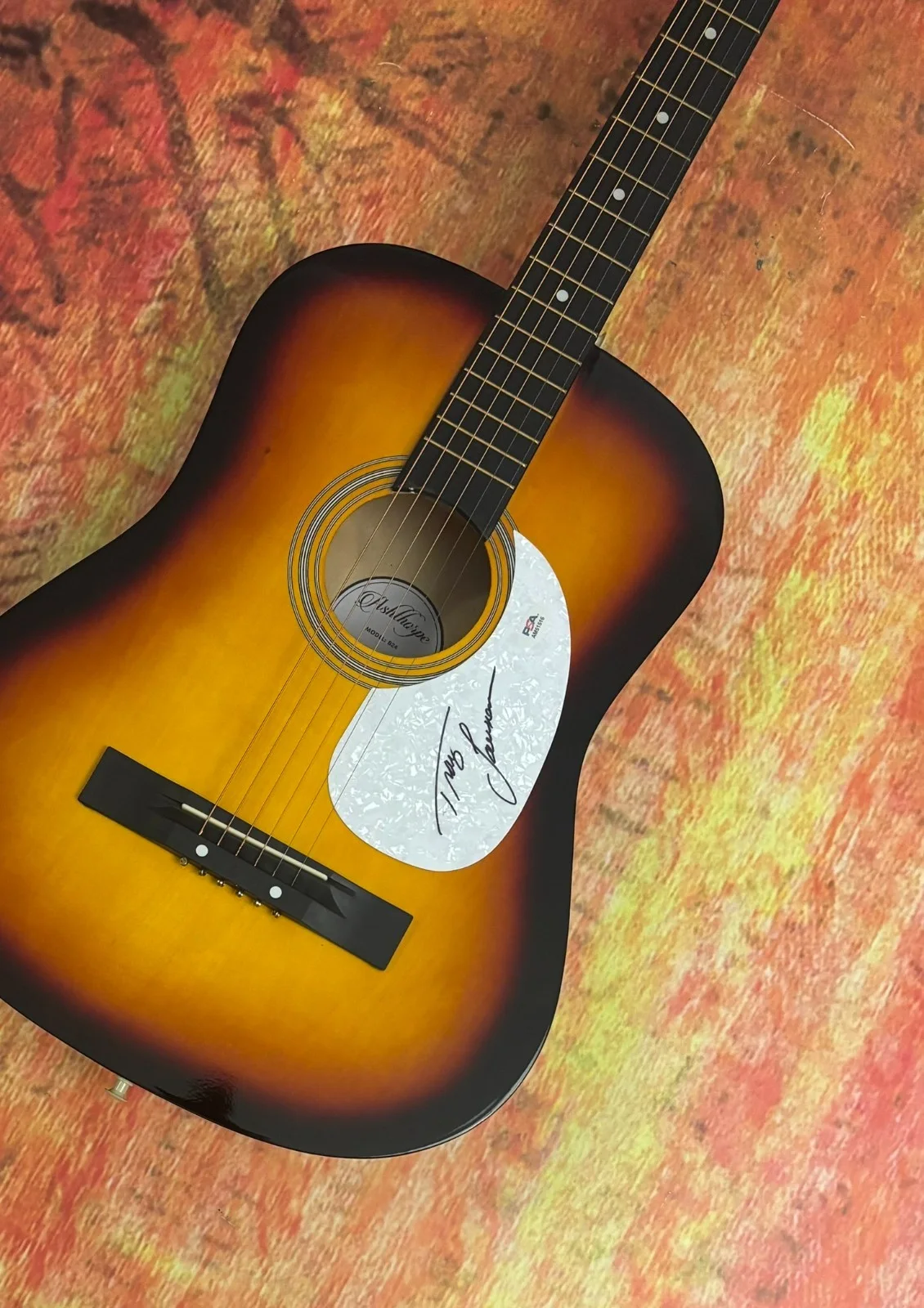 PSA Paint Me a Birmingham * TRACY LAWRENCE * Signed Acoustic Guitar PROOF COA, изображение 5