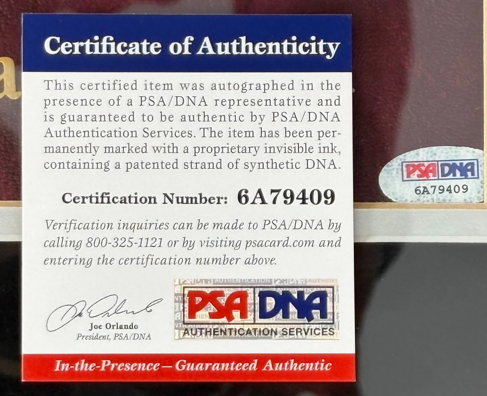 Gene Wilder — Gene Wilder Signed Young Frankenstein Framed Replica Movie Prop PSA/DNA COA, изображение 5