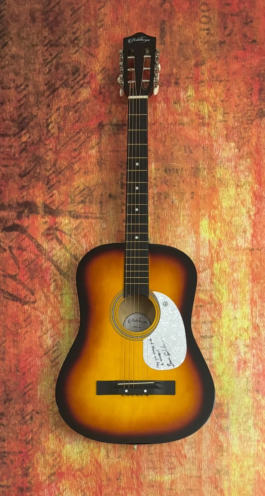 GFA Waiting for a Miracle Star * BRUCE COCKBURN * Signed Acoustic Guitar COA, изображение 2