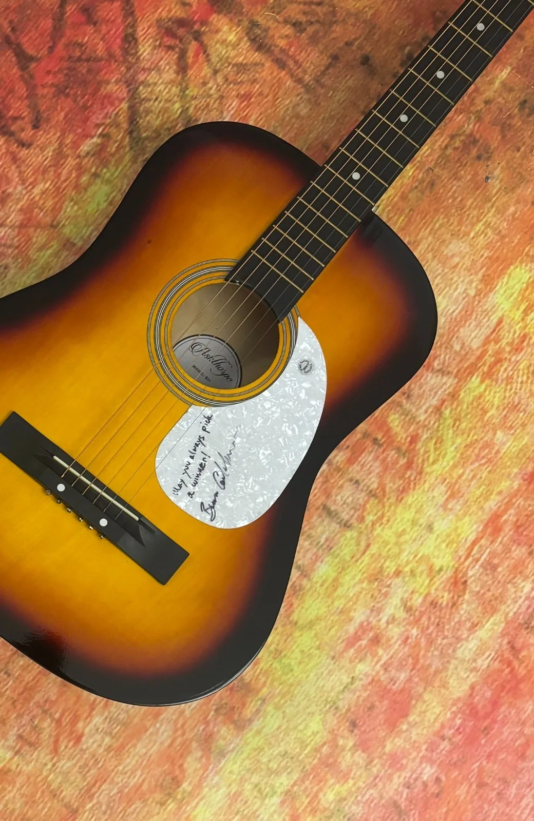 GFA Waiting for a Miracle Star * BRUCE COCKBURN * Signed Acoustic Guitar COA, изображение 3