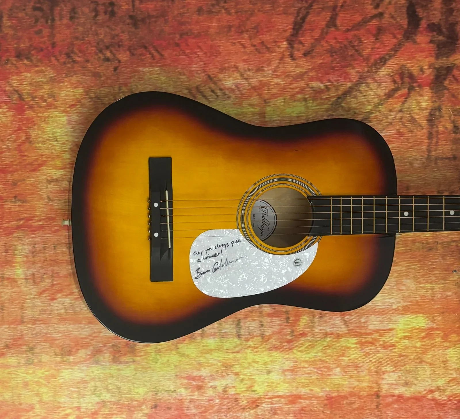 GFA Waiting for a Miracle Star * BRUCE COCKBURN * Signed Acoustic Guitar COA, изображение 4