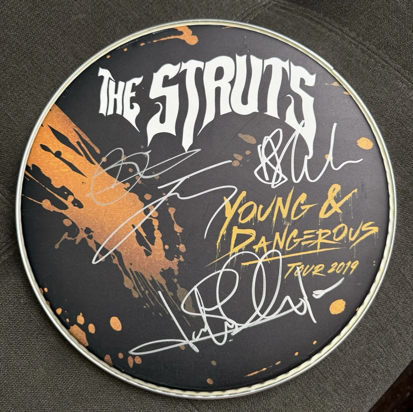 The Struts Band Signed 10" Logo Drumhead 2019 Young & Dangerous Tour Concert, image 2