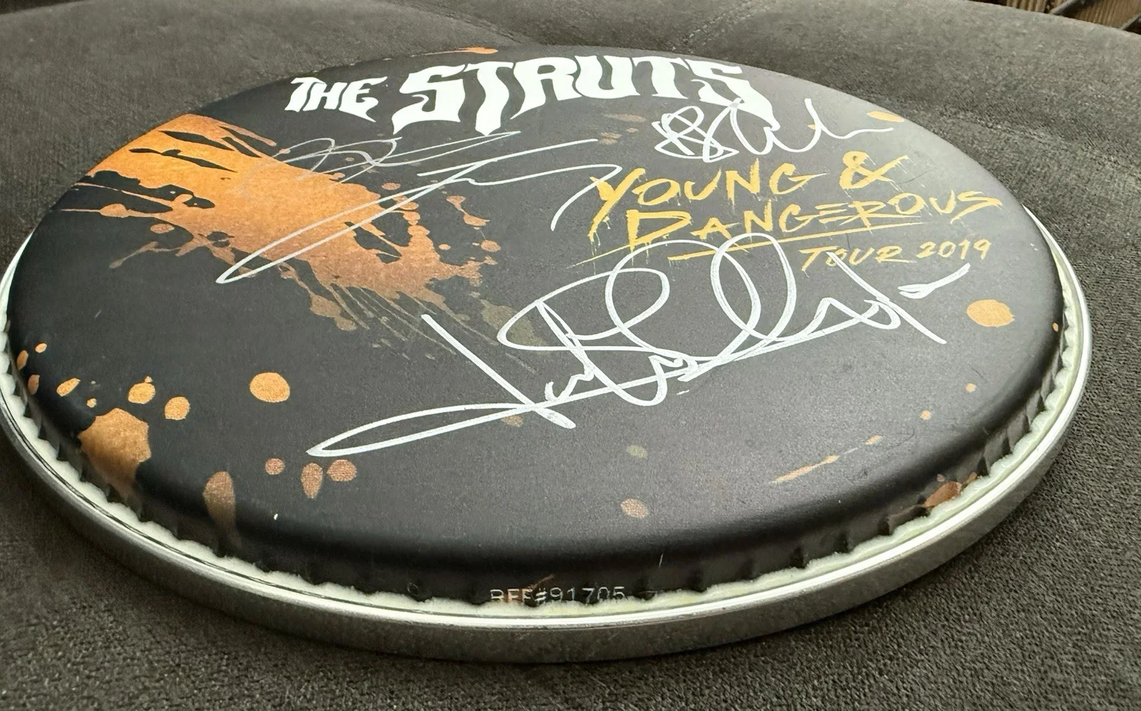 The Struts Band Signed 10" Logo Drumhead 2019 Young & Dangerous Tour Concert, image 3