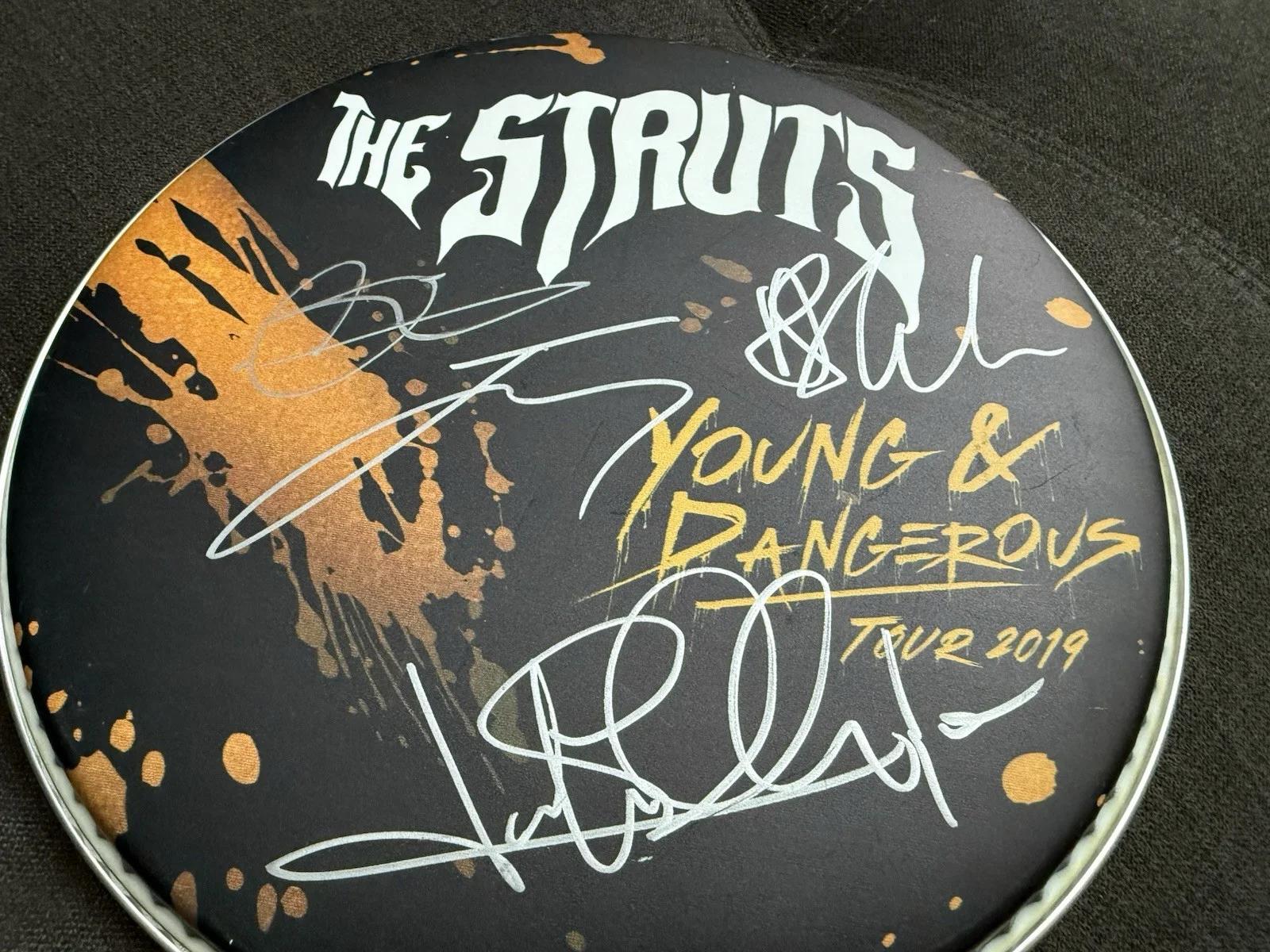 The Struts Band Signed 10" Logo Drumhead 2019 Young & Dangerous Tour Concert, image 4