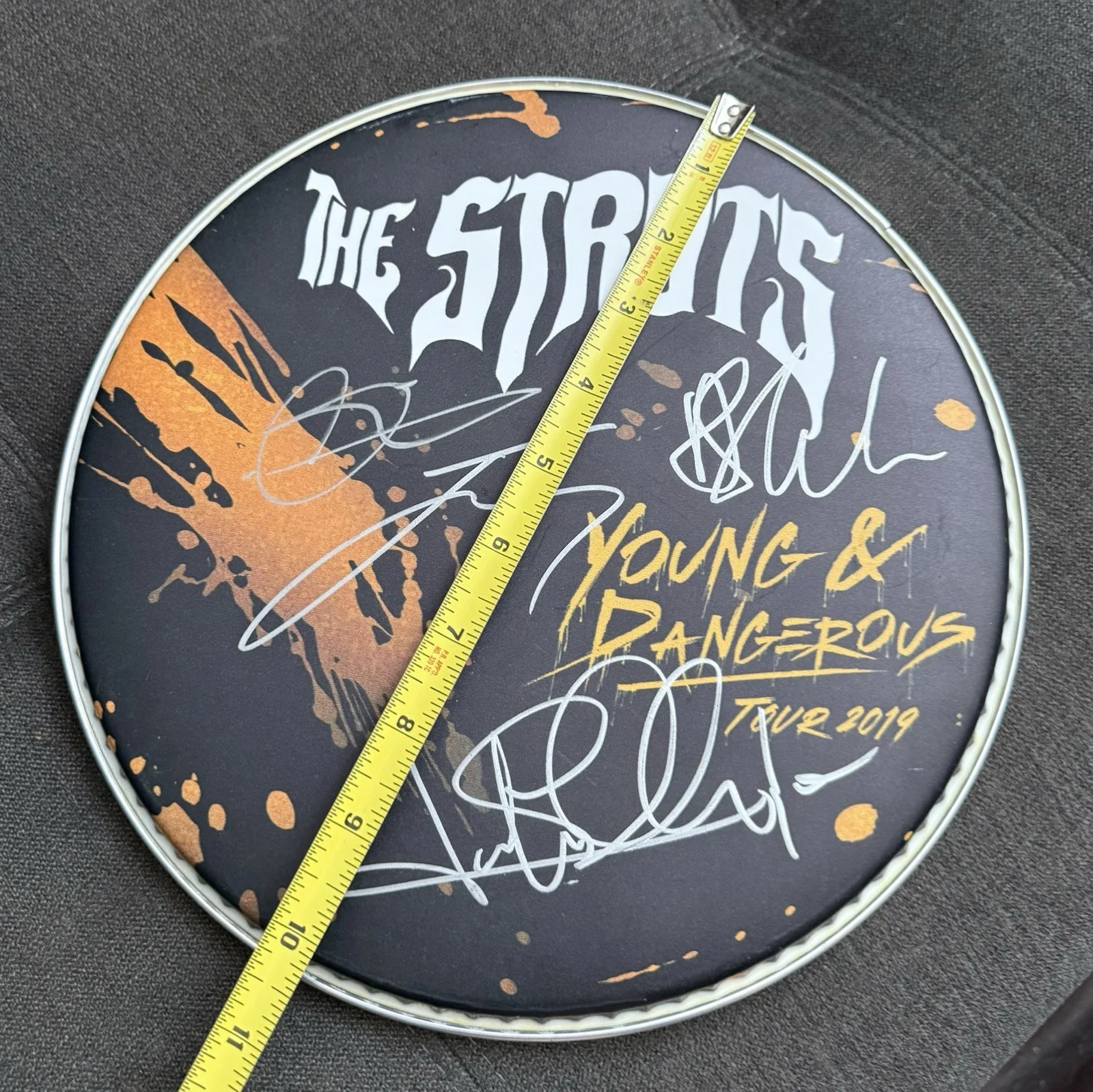 The Struts Band Signed 10" Logo Drumhead 2019 Young & Dangerous Tour Concert, image 5