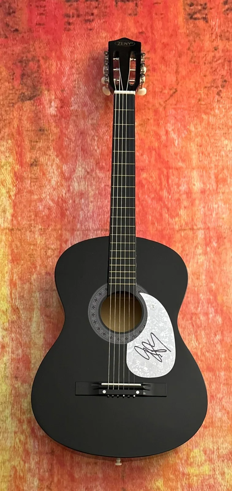 GFA Mind on You Country Star * GEORGE BIRGE * Signed Acoustic Guitar COA, image 2