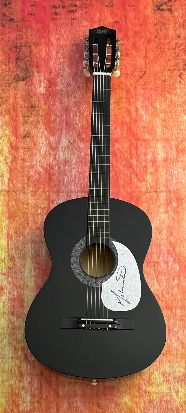 GFA Vienna Country Singer * MATT SCHUSTER * Signed Acoustic Guitar COA, изображение 2