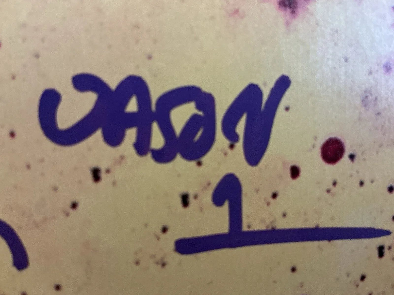 Ari Lehman — ARI LEHMAN Signed Camp Crystal Lake Tin Sign JASON 1 Kill For Mother PrimeTime, image 4
