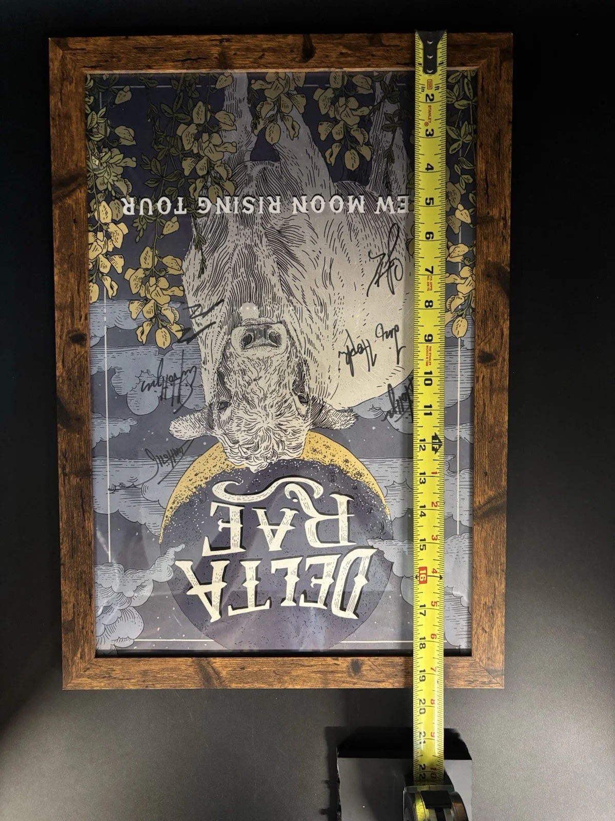 Delta Rae New Moon Rising Tour Concert Poster Full Band Signed Autographed Frame, изображение 2