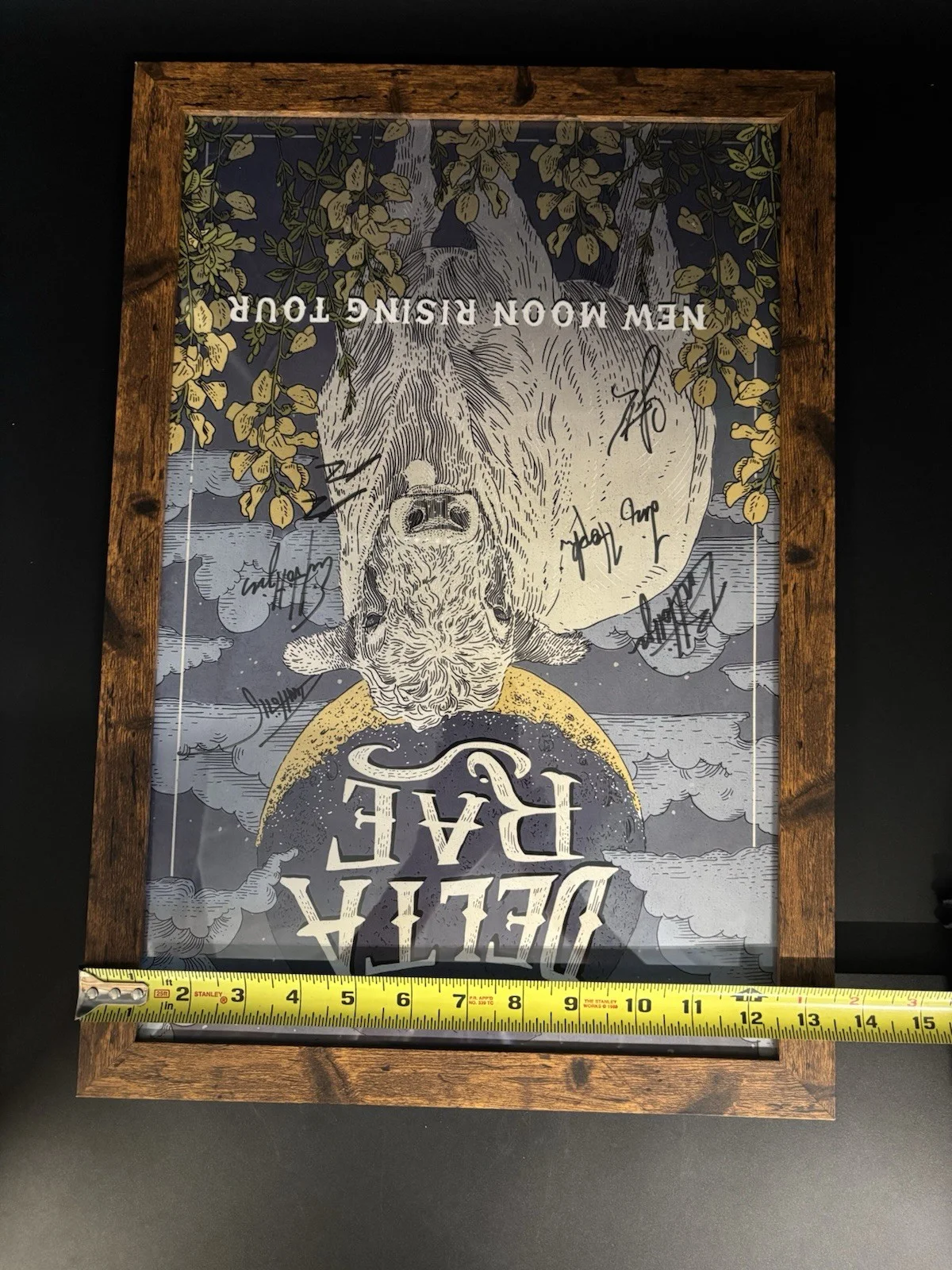 Delta Rae New Moon Rising Tour Concert Poster Full Band Signed Autographed Frame, изображение 3