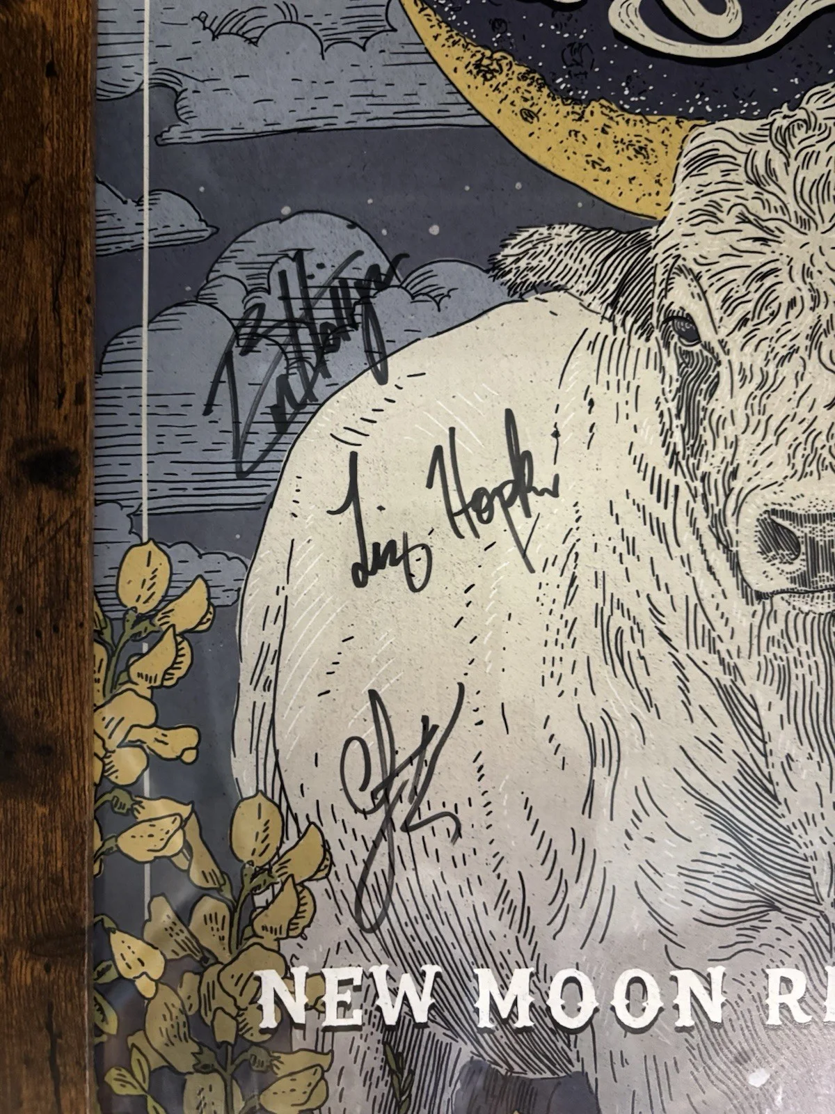 Delta Rae New Moon Rising Tour Concert Poster Full Band Signed Autographed Frame, изображение 5