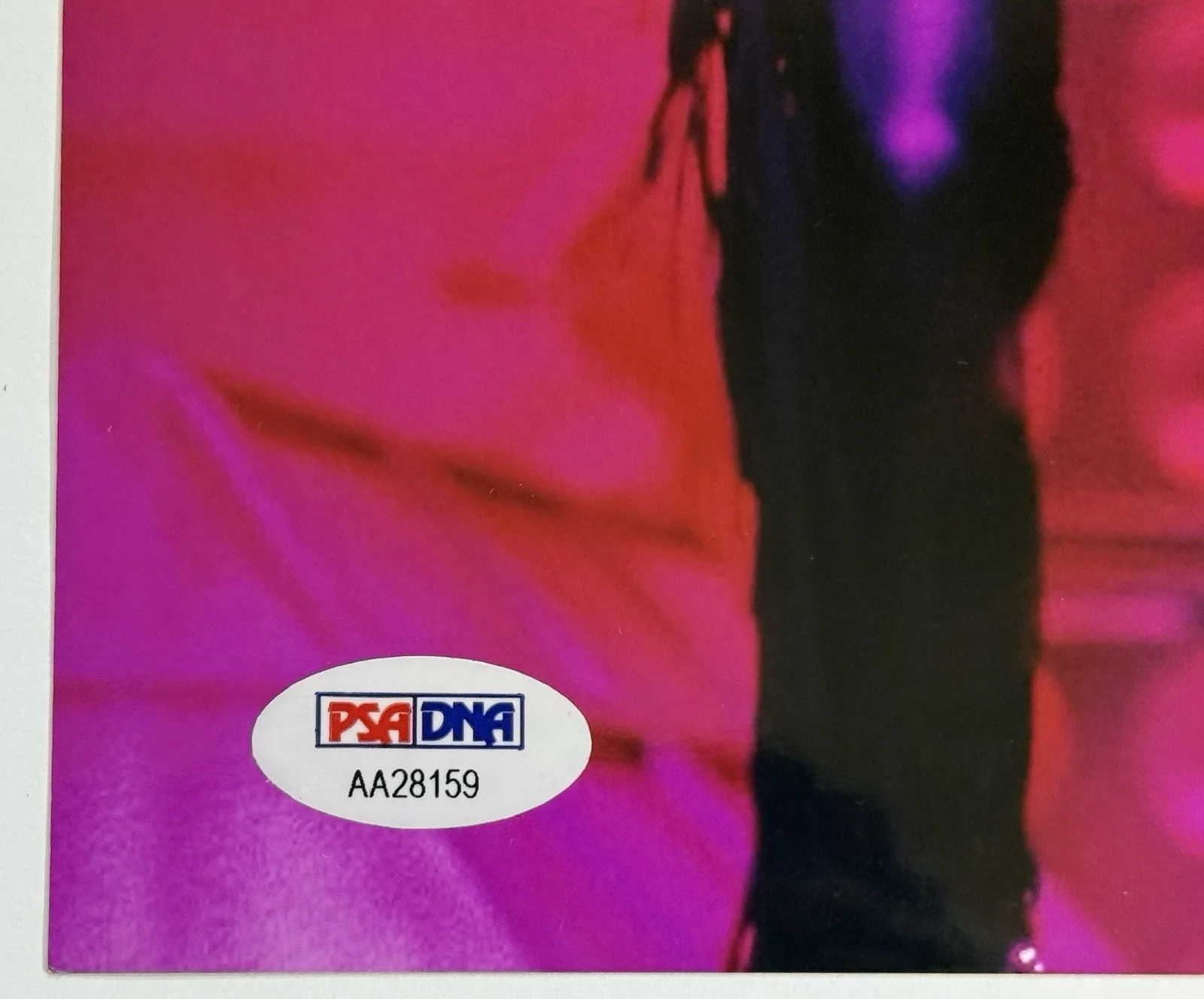 Joe Perry signed Photo Aerosmith in concert 8x10 psa dna coa, изображение 3
