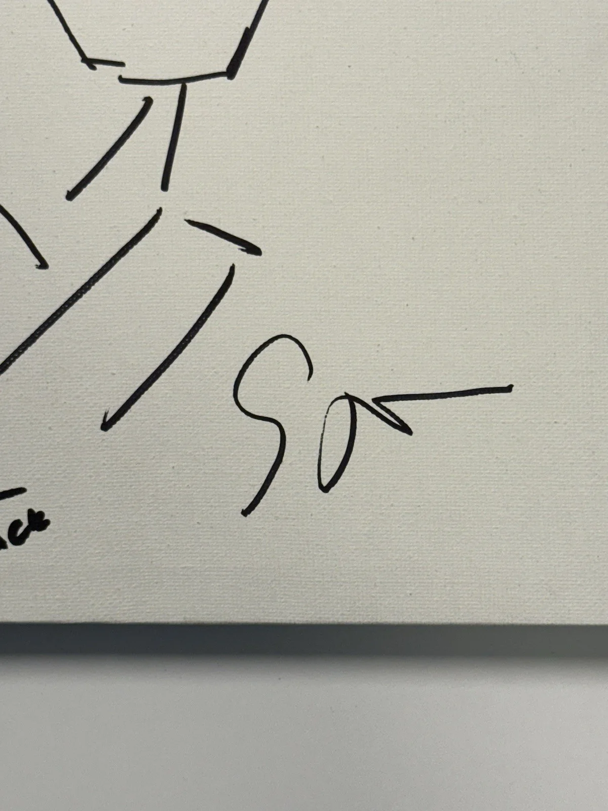 genndy tartakovsky — Genndy Tartakovsky Signed 8x10 Canvas Samurai Jack Hand Drawn Sketch SWAU LOA, изображение 4