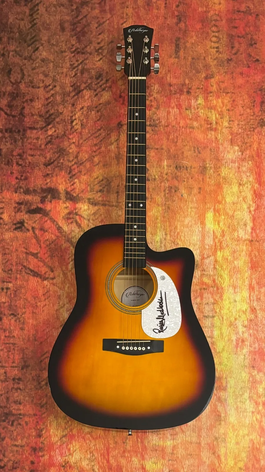 GFA Lynyrd Skynyrd Guitarist * RICKEY MEDLOCKE * Signed 41" Acoustic Guitar COA, изображение 2