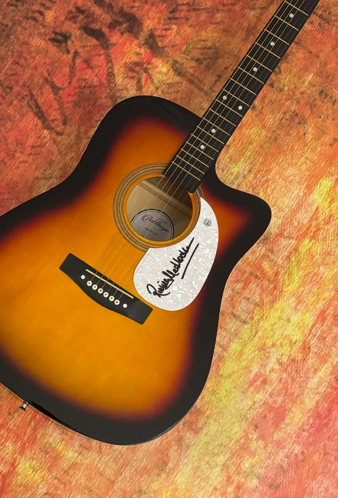GFA Lynyrd Skynyrd Guitarist * RICKEY MEDLOCKE * Signed 41" Acoustic Guitar COA, изображение 3