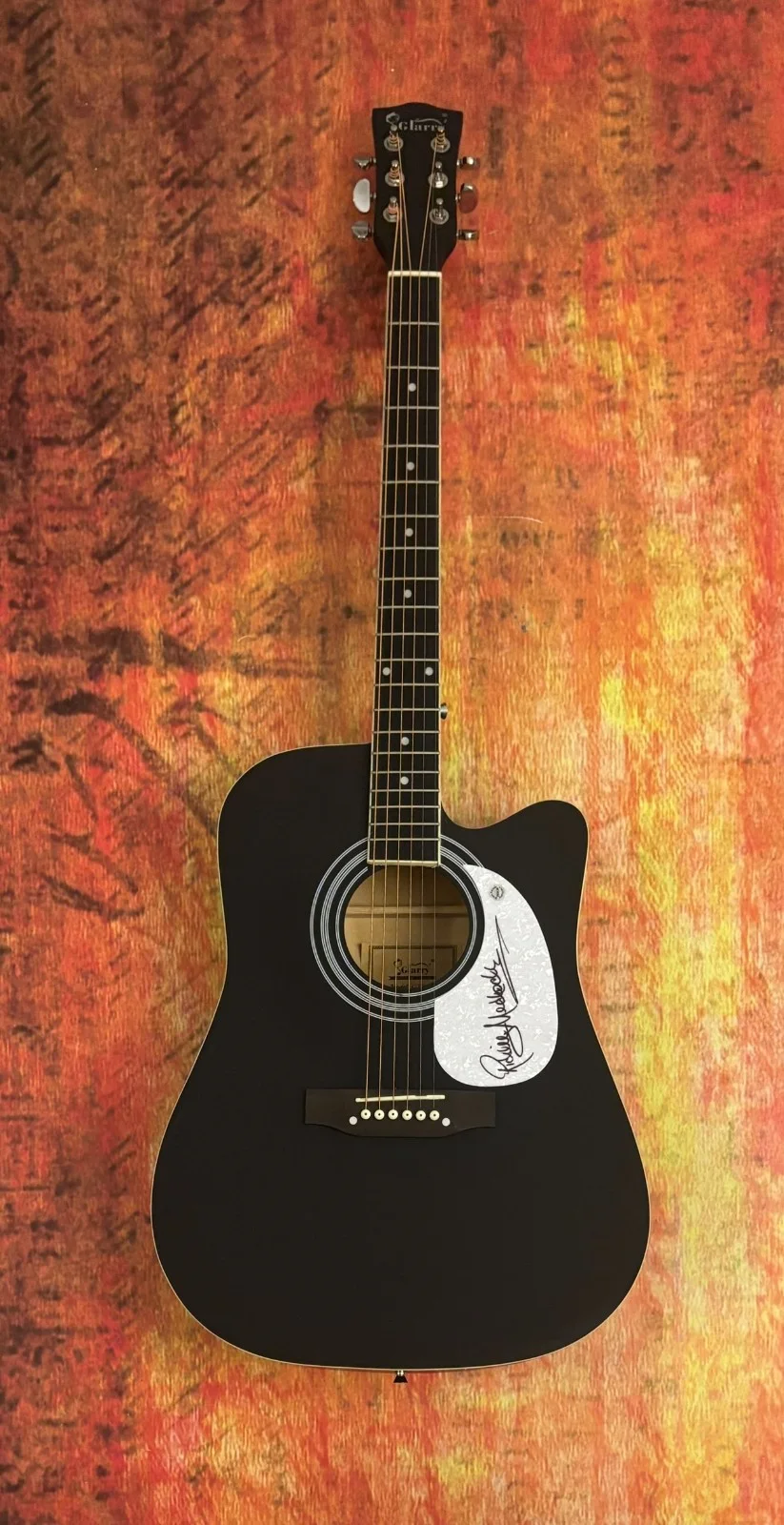 GFA Lynyrd Skynyrd Guitarist * RICKEY MEDLOCKE * Signed 41" Acoustic Guitar COA, изображение 2