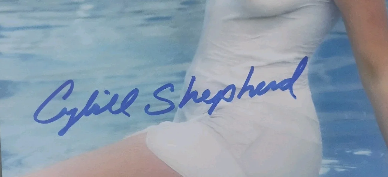 Cybill Shepherd Hand Signed Autograph 8x10 Photo JSA COA, image 3