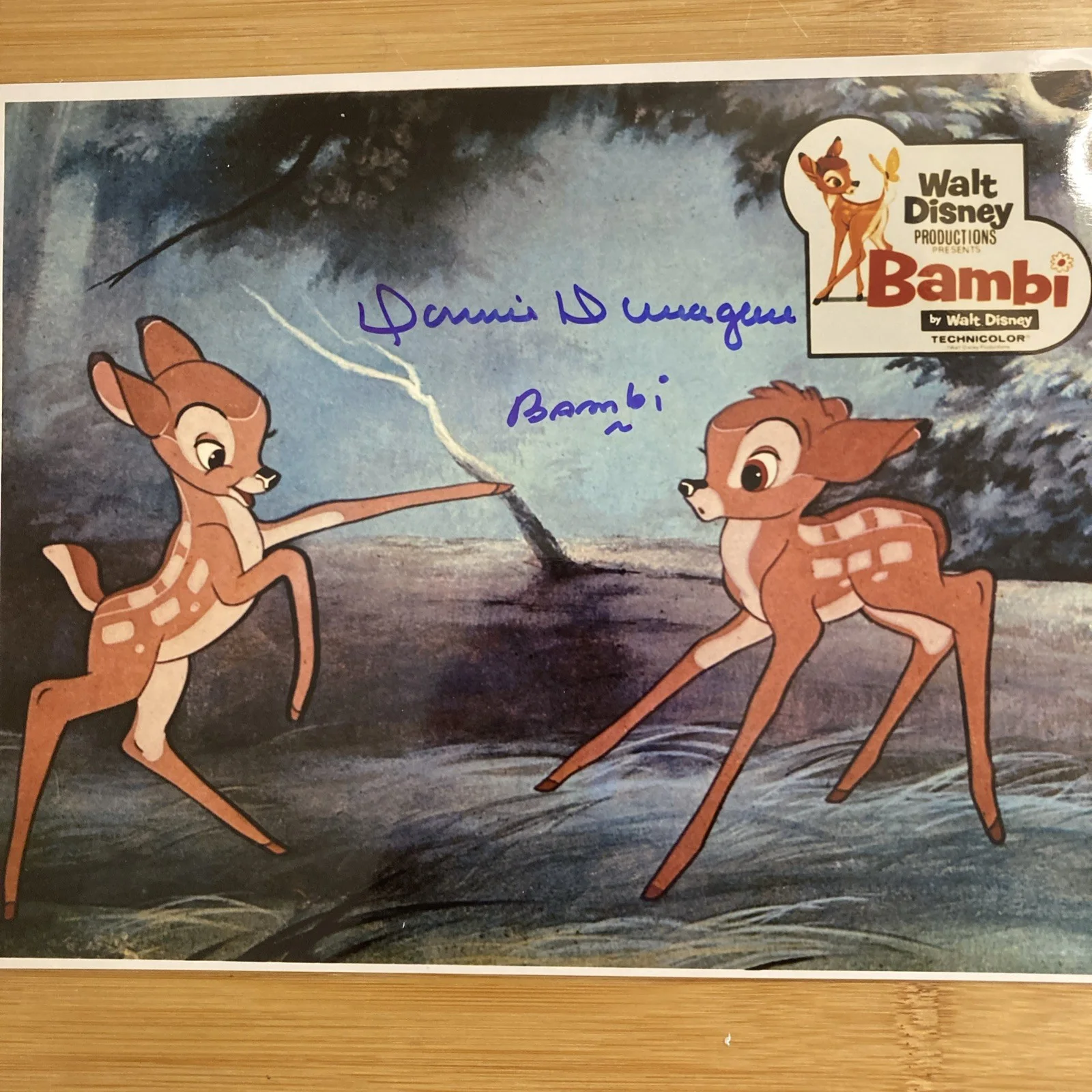 Donald Dunagan voice of Bambi 1942 signed 8x10 glossy by With/COA/Wow-RARE, изображение 2