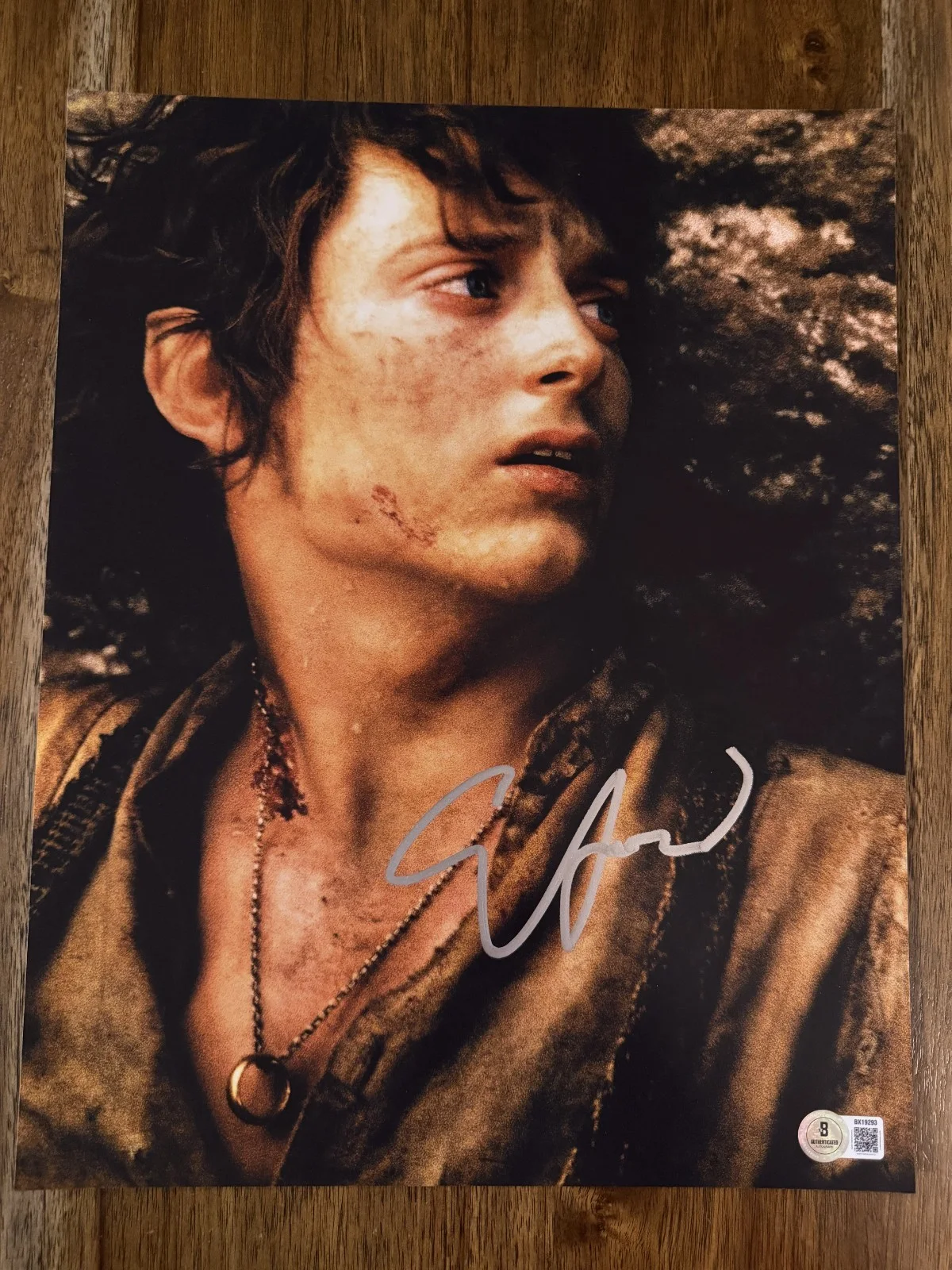 Elijah Wood — Elijah Wood ‘Lord of the Rings’ Signed 11x14 Photo ‘Frodo’ Beckett