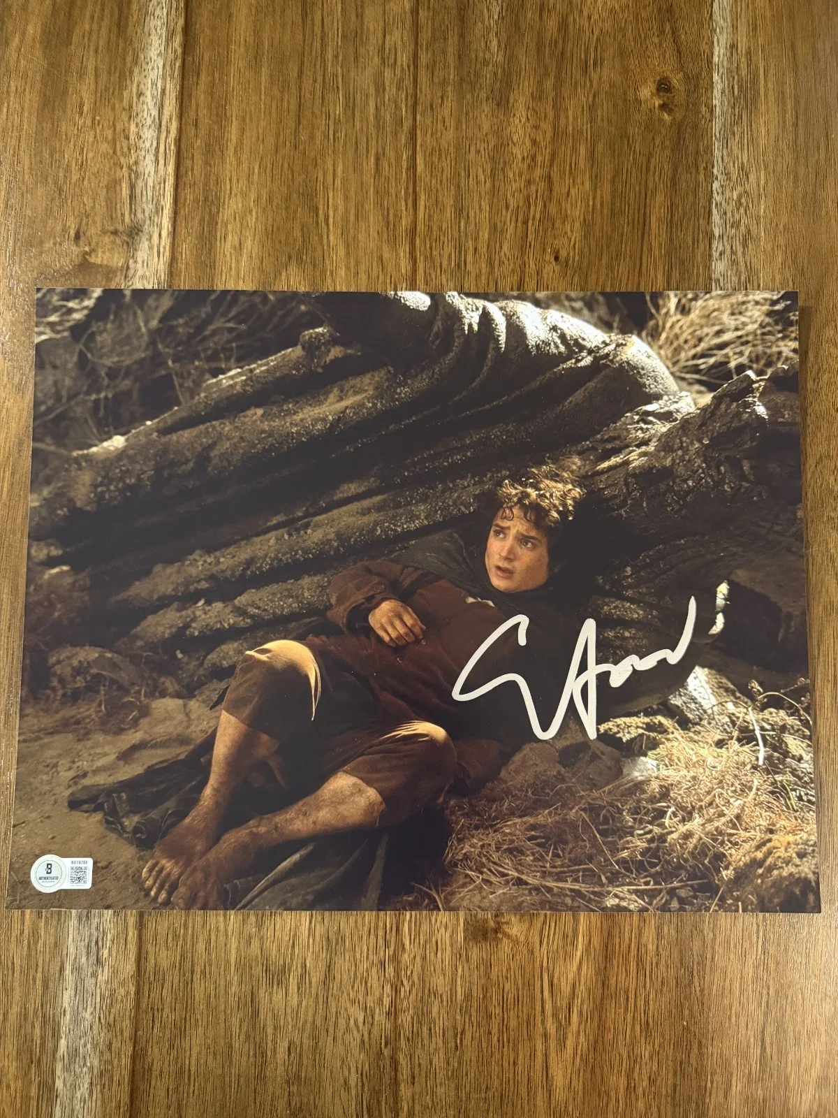 Elijah Wood — Elijah Wood ‘Lord of the Rings’ Signed 11x14 Photo ‘Frodo’ Beckett