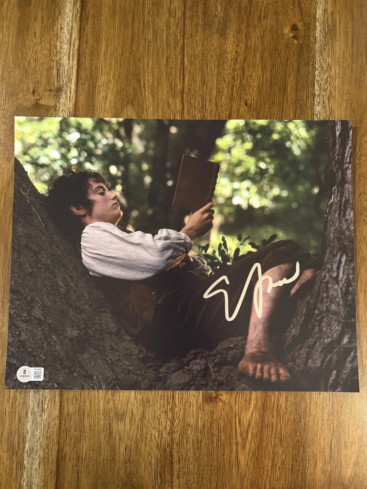 Elijah Wood — Elijah Wood ‘Lord of the Rings’ Signed 11x14 Photo ‘Frodo’ Beckett