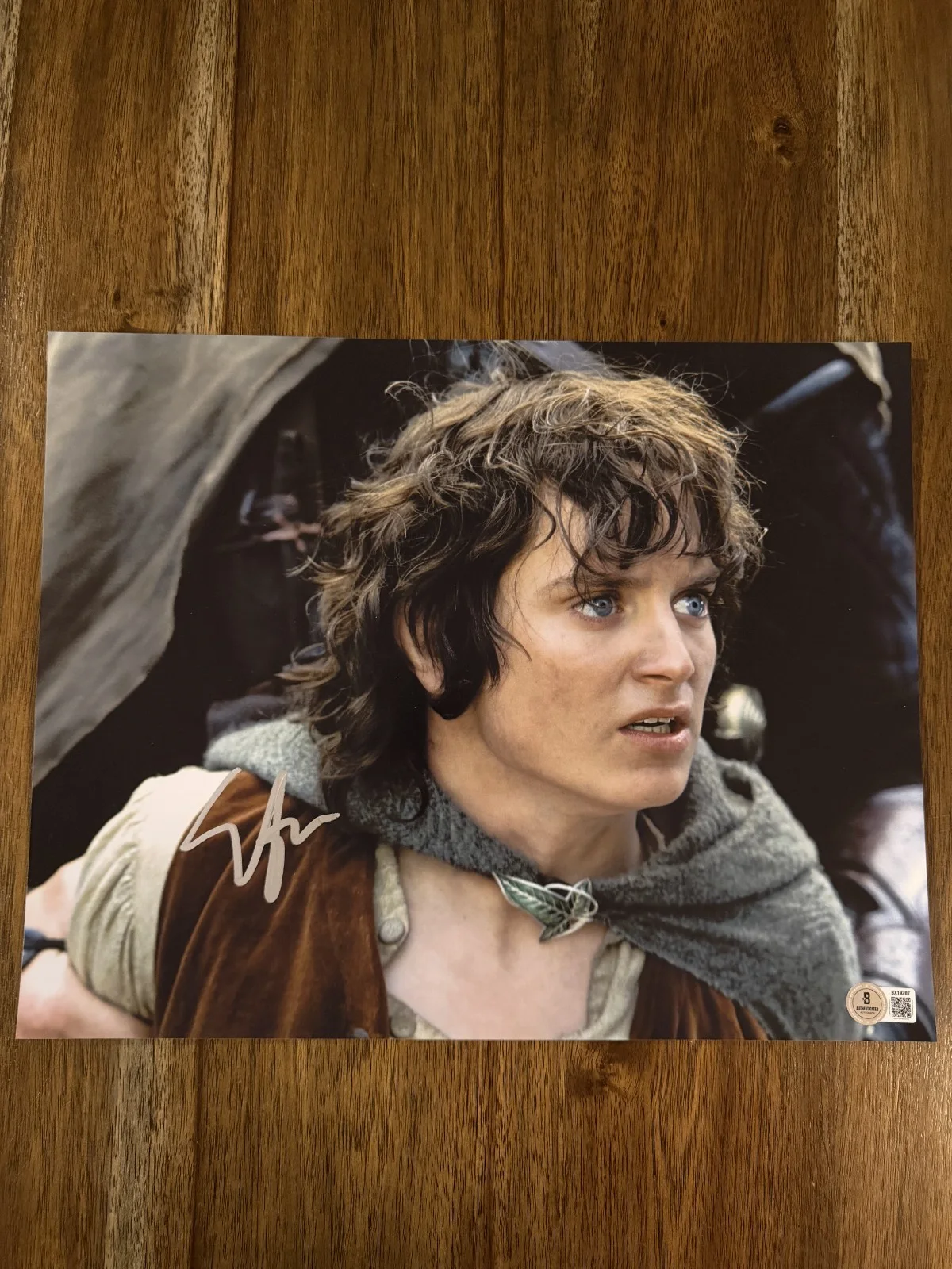 Elijah Wood — Elijah Wood ‘Lord of the Rings’ Signed 11x14 Photo ‘Frodo’ Beckett