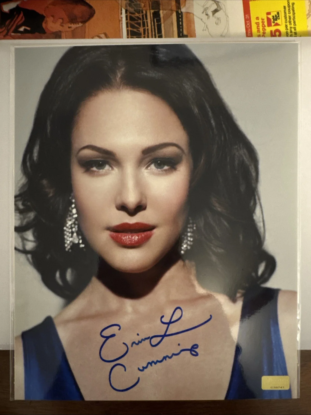 Erin Cummings — Erin Cummings Signed Detroit 1-8-7 8x10 Photo Autograph