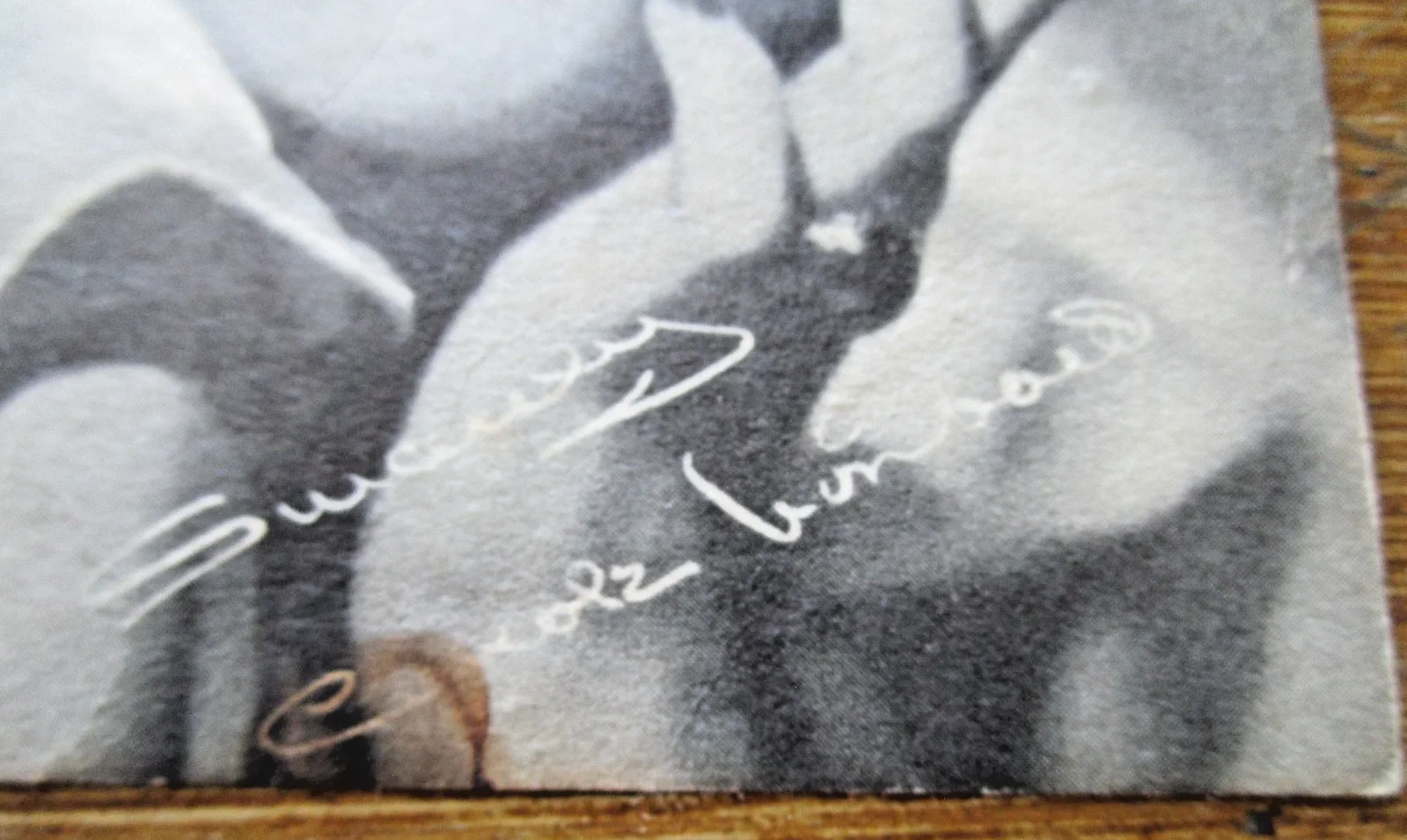 Vintage CAROLE LOMBARD Signed on Paper ~5.5" x 3.5" PIN UP PICTURE Image, изображение 2