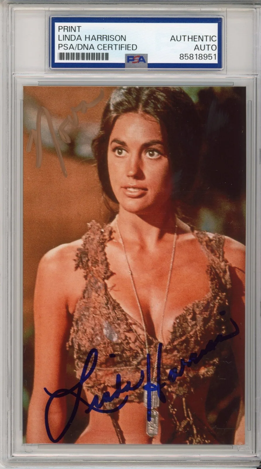 Linda Harrison — LINDA HARRISON PLANET OF THE APES NOVA AUTOGRAPH PSA DNA SIGNED PHOTOGRAPH PHOTO