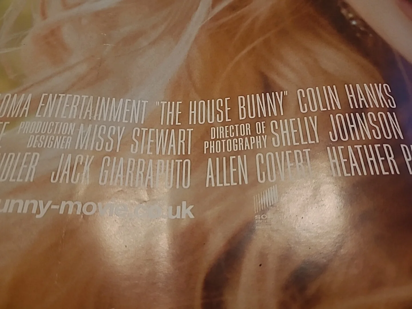 Cinema Poster: HOUSE BUNNY, THE 2008 Anna Faris, image 2