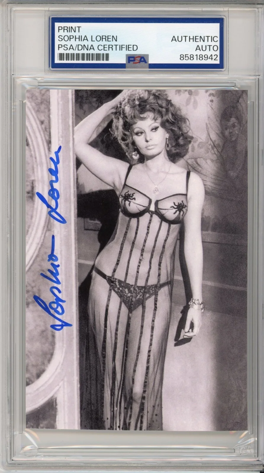 Sophia Loren — SOPHIA LOREN AUTOGRAPH LINGERIE PHOTOGRAPH PSA DNA COA SIGNED AUTO PICTURE WOW!