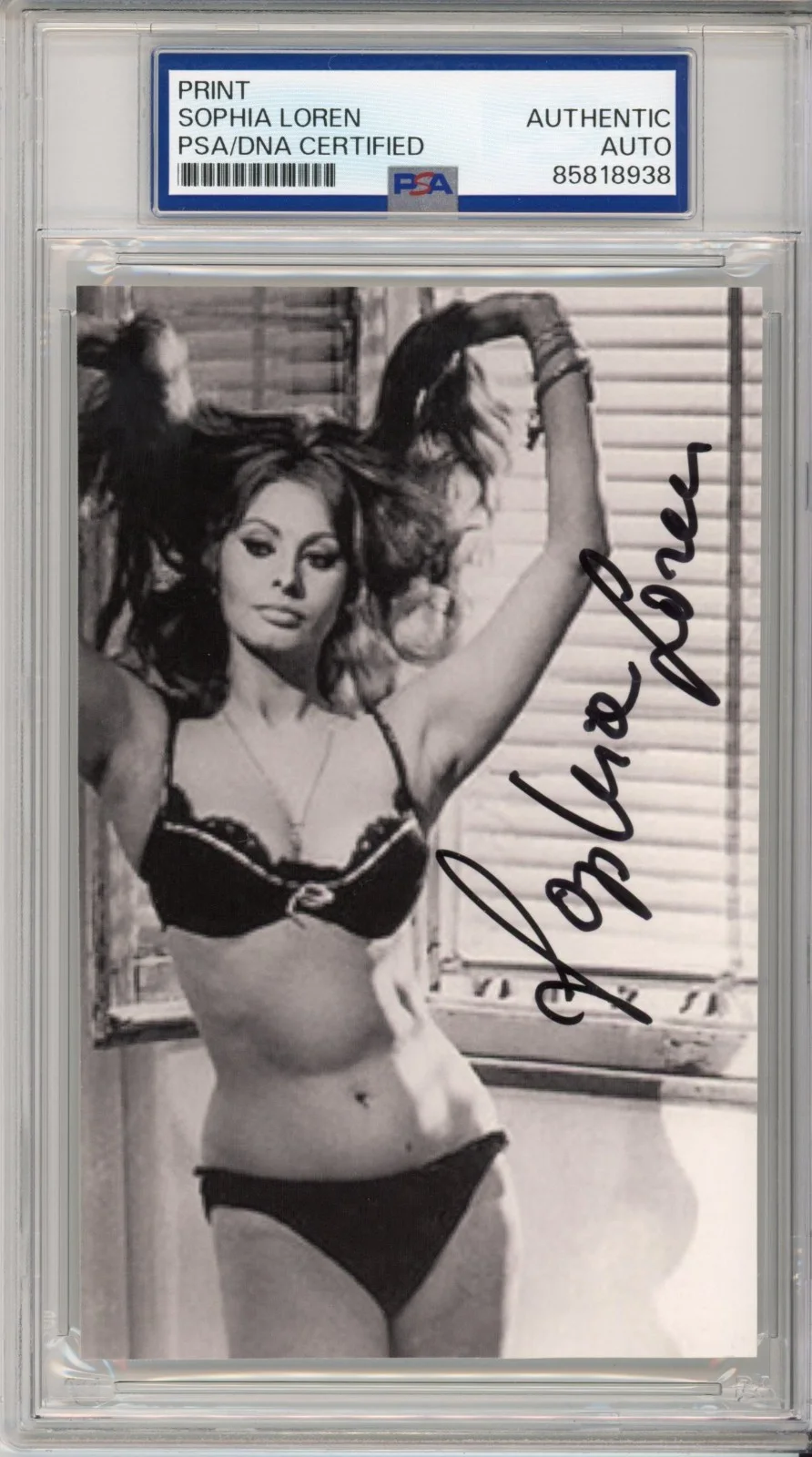 Sophia Loren — SOPHIA LOREN AUTOGRAPH LINGERIE BIKINI PICTURE PSA DNA COA SIGNED PHOTOGRAPH