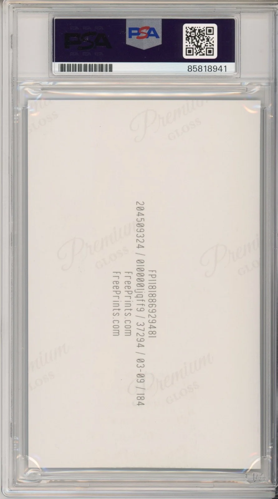 Sophia Loren — SOPHIA LOREN AUTOGRAPH BATHTUB BATH PHOTOGRAPH PSA DNA COA SIGNED AUTO PHOTO, изображение 2