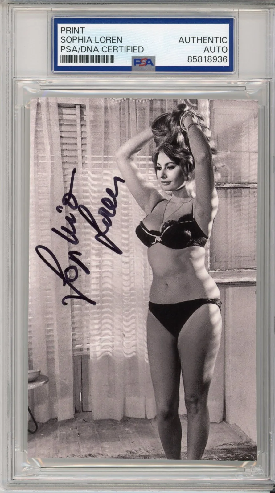 Sophia Loren — SOPHIA LOREN AUTOGRAPH LINGERIE PHOTOGRAPH PSA DNA AUTHENTIC SIGNED PICTURE AUTO