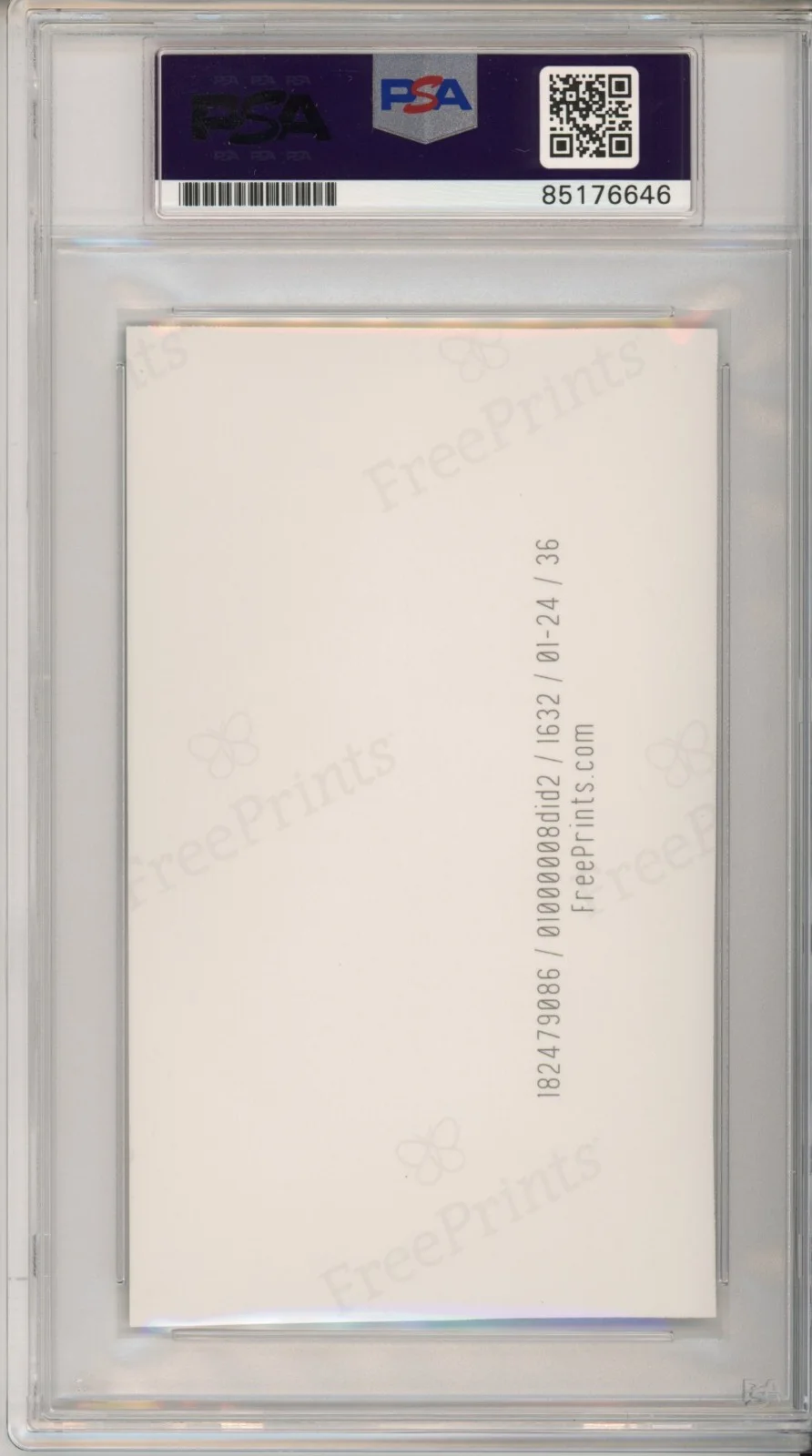 Brigitte Bardot SIGNED SEXY Model Photograph PSA DNA Authentic Autograph Photo, изображение 2