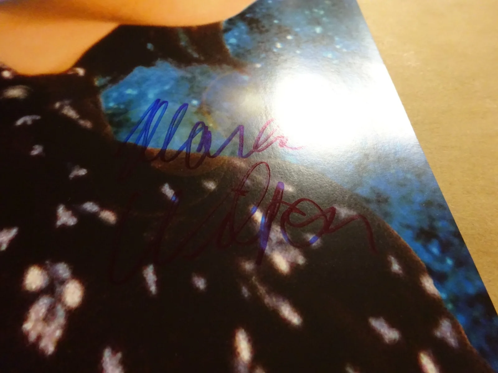 Mara Wilson — Signed Mara Wilson Autographed Matilda 11"x17" Photo JSA COA, image 5