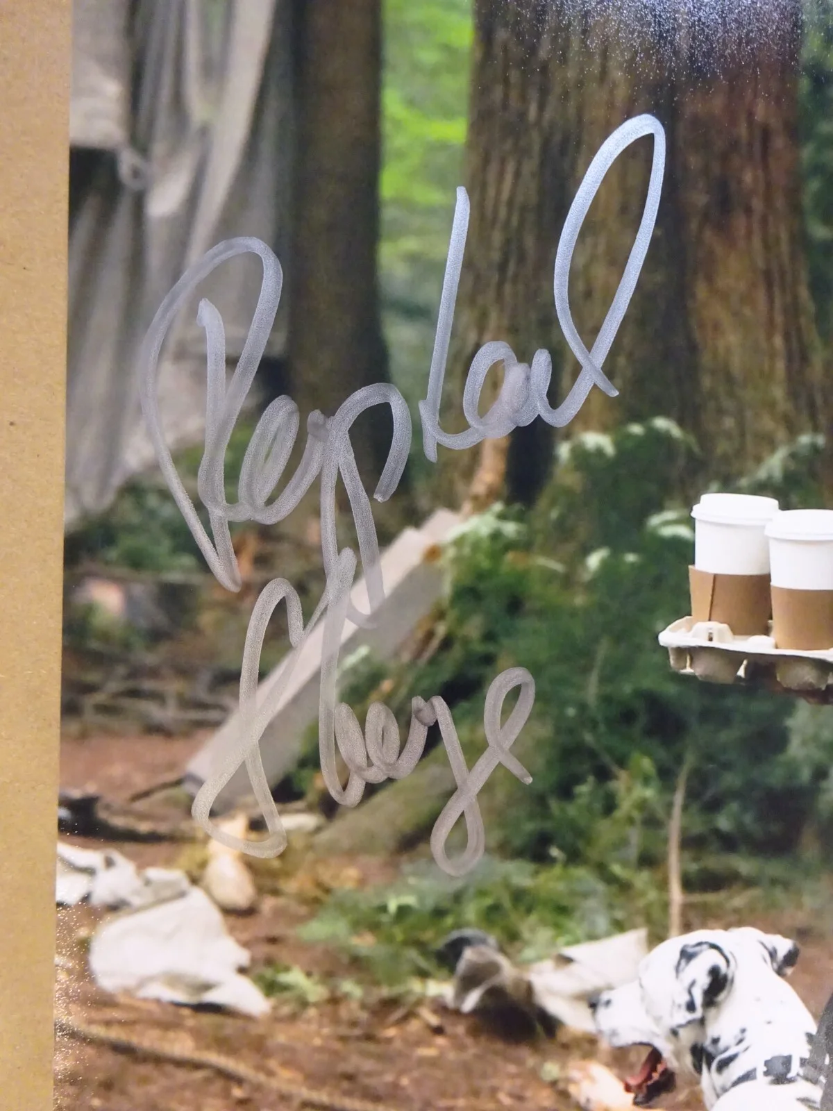 Raphael Sbarge — Autographed Raphael Sbarge Signed 8"x10" Once Upon A Time Photo JSA COA, image 3