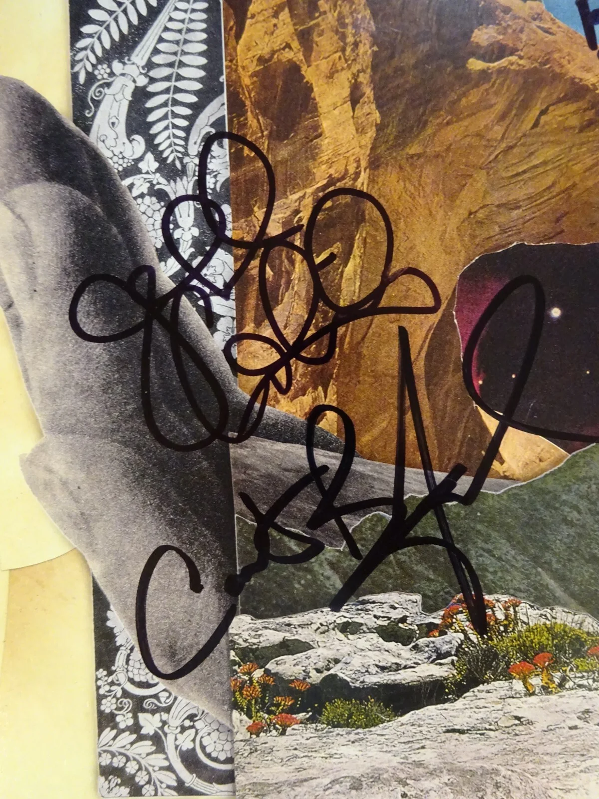 Autographed Dave Matthews Walk The Moon Album Beckett COA LOA Beauford Reynolds, изображение 4