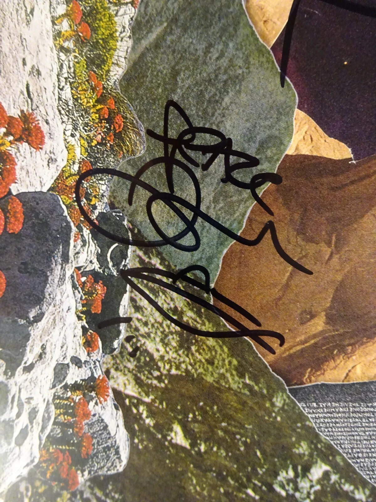 Autographed Dave Matthews Walk The Moon Album Beckett COA LOA Beauford Reynolds, изображение 5