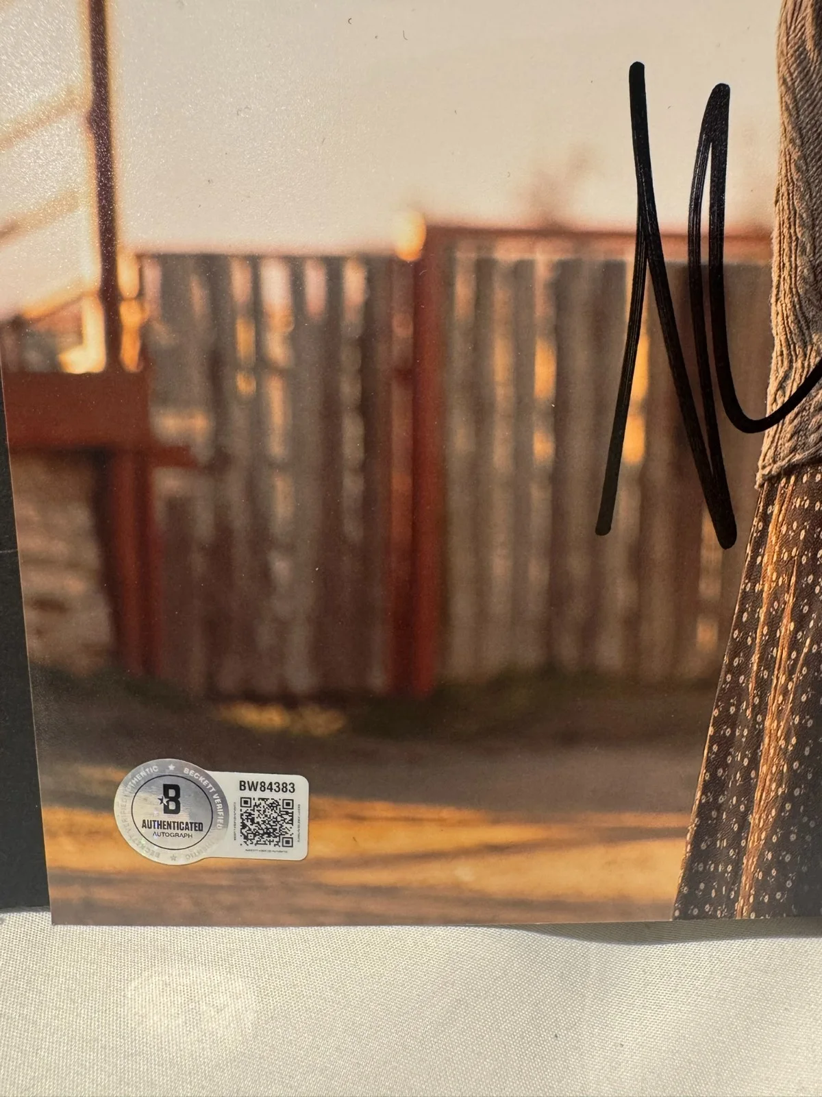 COLE HAUSER KELLY REILLY SIGNED 11X14 RIP BETH PHOTO DUTTON RANCH AUTO BAS COA, image 4