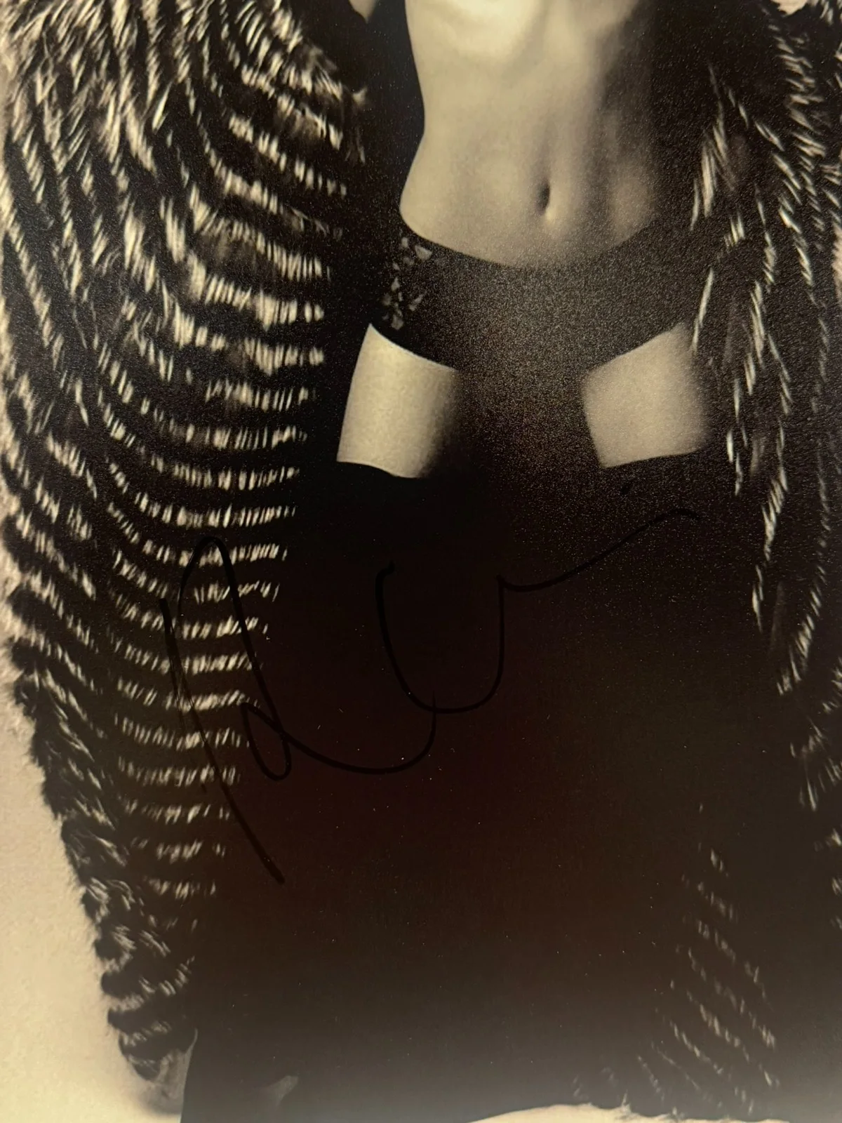 ROSE HUNTINGTON WHITELEY SIGNED 11X14 PHOTO SUPERMODEL AUTO SEXY BECKETT BAS COA, изображение 2