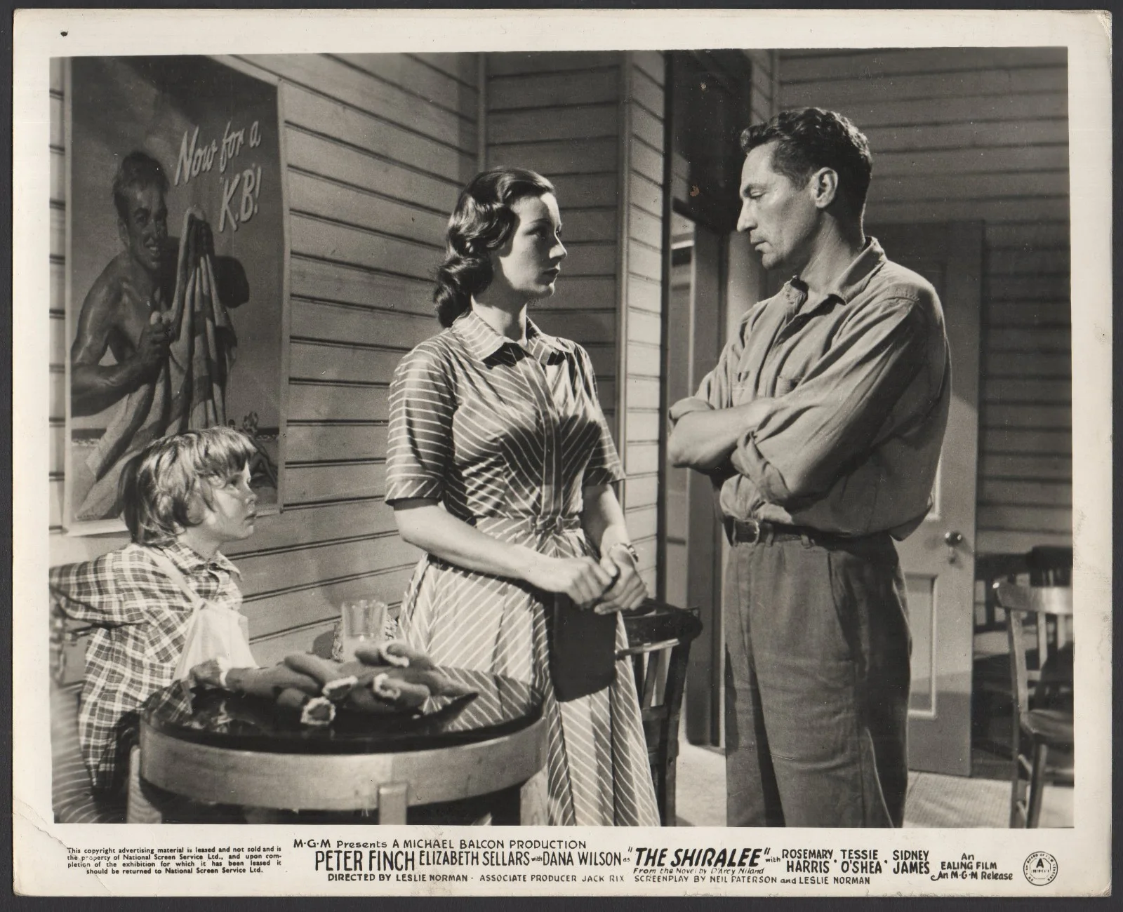 SHIRALEE 1957 Peter Finch, Dana Wilson 3 10x8 LOBBY CARDS, изображение 2