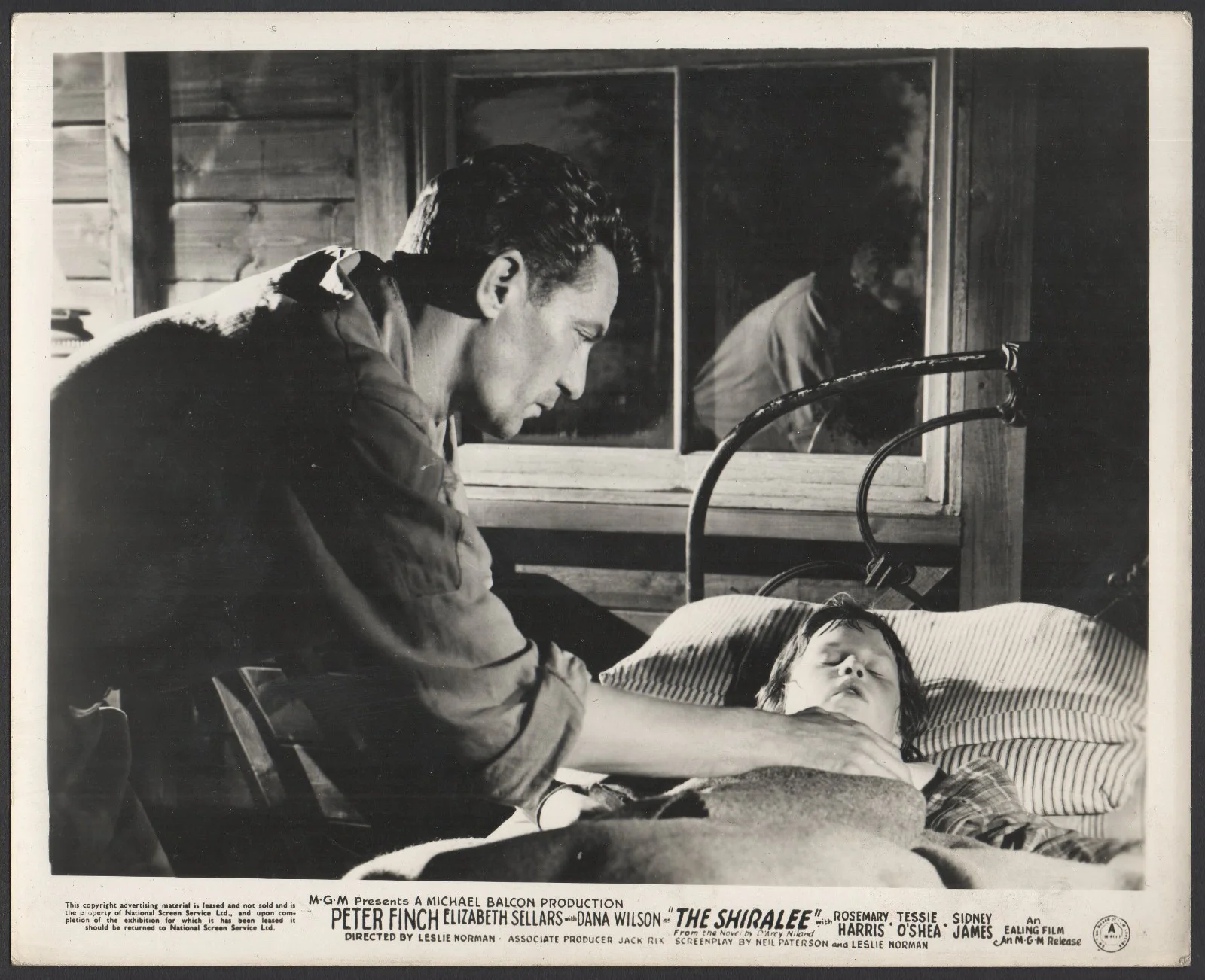 SHIRALEE 1957 Peter Finch, Dana Wilson 3 10x8 LOBBY CARDS, изображение 3
