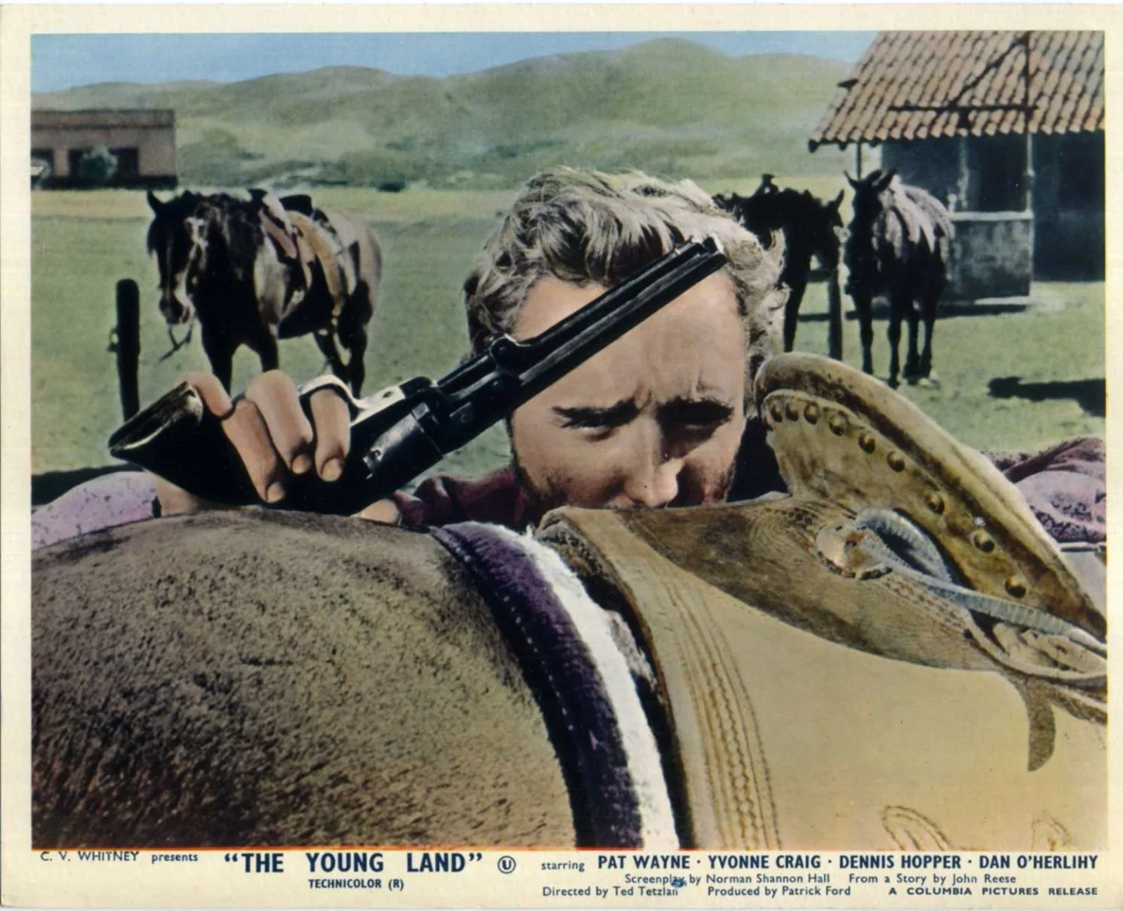 YOUNG LAND 1959 Dennis Hopper, Pat Wayne, Yvonne Craig UK 10x8 LOBBY SET, изображение 3