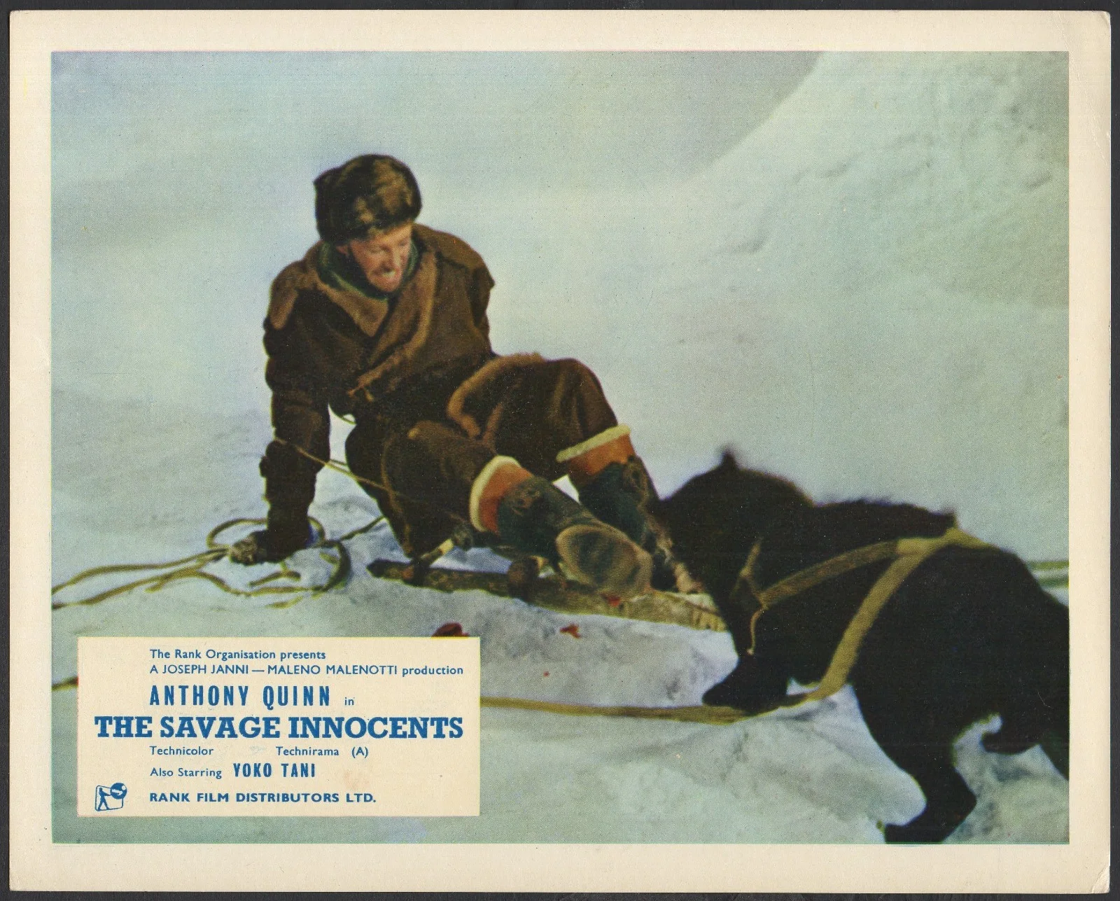 SAVAGE INNOCENTS 1960 Anthony Quinn, Yoko Tani 10X8 LOBBY SET, image 3