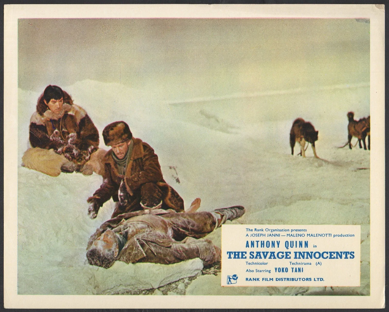 SAVAGE INNOCENTS 1960 Anthony Quinn, Yoko Tani 10X8 LOBBY SET, image 4