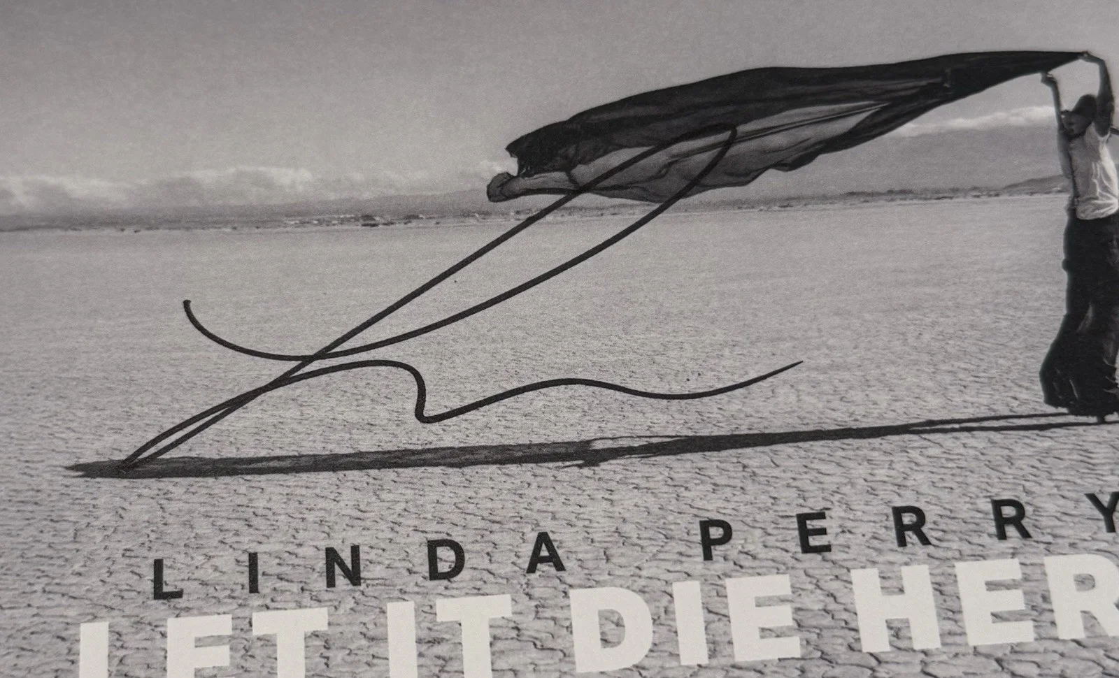 Linda Perry Signed Let It Die Here Art Insert Card with CD New/Sealed Autograph, image 2